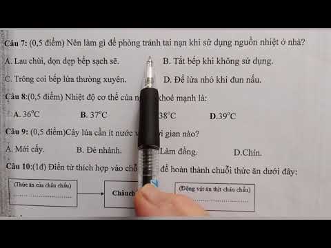 Đề thi cuối học kỳ II môn Khoa học lớp 4 - youtube