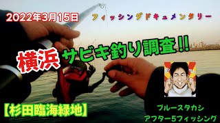 【横浜　釣り】2022年3月15日、横浜でのサビキ釣り調査です。水温はまだ低いですが、先月よりは少しづつ上昇し始めています。そろそろ横浜にもアジは回って来ていないか⁉杉田臨海緑地でのサビキ釣りです。