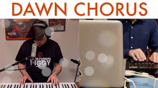 Thom Yorke - Dawn Chorus (Cover by Taka and Joe Edelmann)
