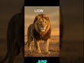 🦁 10 Incredible Facts About Lions You Didn't Know! | WildFactsOfficial #wildwildlife #worldwildlife