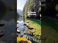 Beautiful river | Tranquil water #nature #river #lovelyview