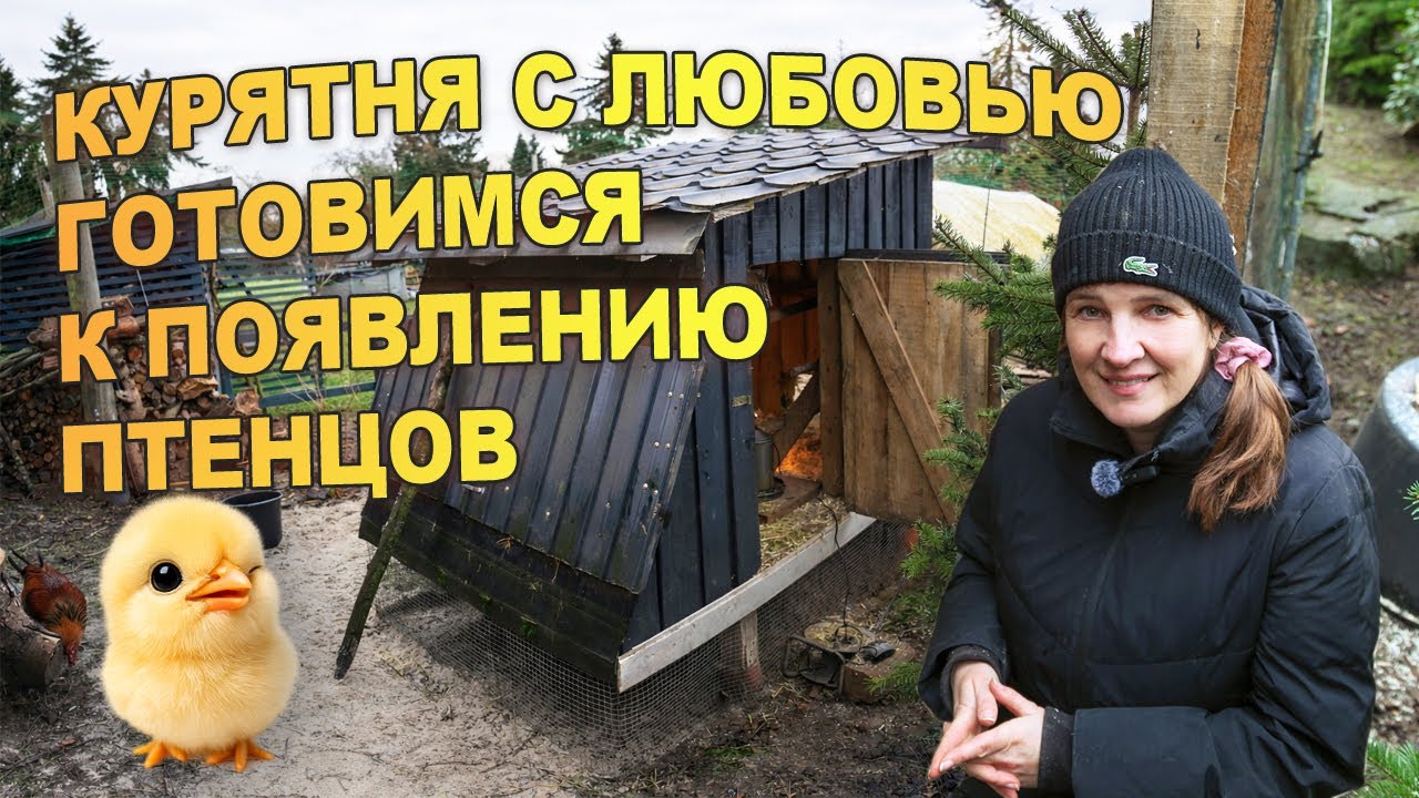 Дом для курочек, дымок для души и разговоры по семейному