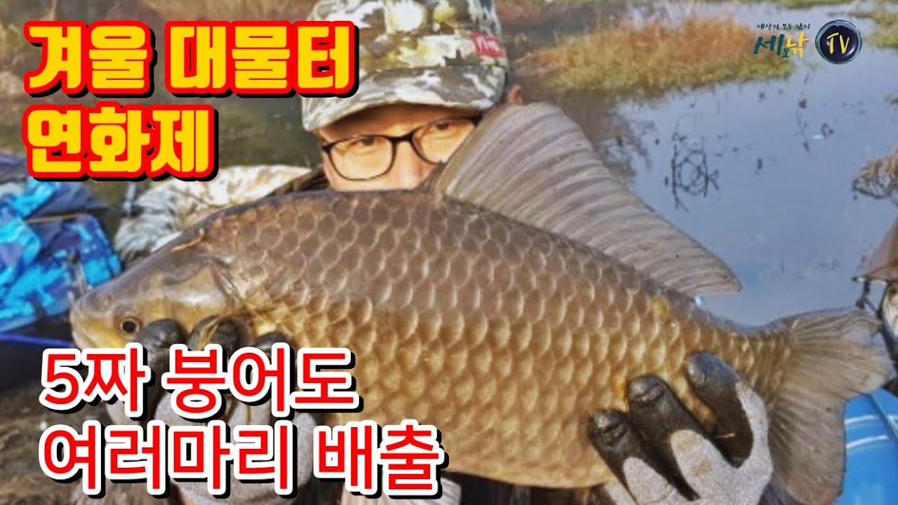 [세모낚TV]겨울철 대물터로 자리매김한 연화제/박현철 해결사의 대물속공낚시139화/12월초 대물공략/5짜붕어도 여러마리 배출/바낙스,비바붕어,비바보트