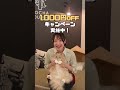 4/1（水）～4/26（日）の期間限定🐱 #猫カフェmocha #猫のいる暮らし #猫好きさんと繋がりたい