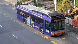 (Keystone@Mandai Full Body Advertisement) SMB1522P On Service 965 At Yishun Avenue 2