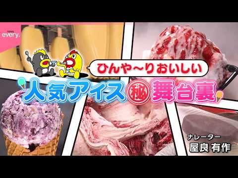 【潜入】ひんや〜りおいしい 人気アイス㊙︎舞台裏『every.特集』