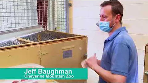 Behind the Scenes with Jeff Baughman Who Raises Bl...