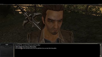 Divinity II: Developer