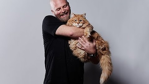 Andrew Fursman: Superposition, Schrödinger’s cat and the absurdity of quantum mechanics