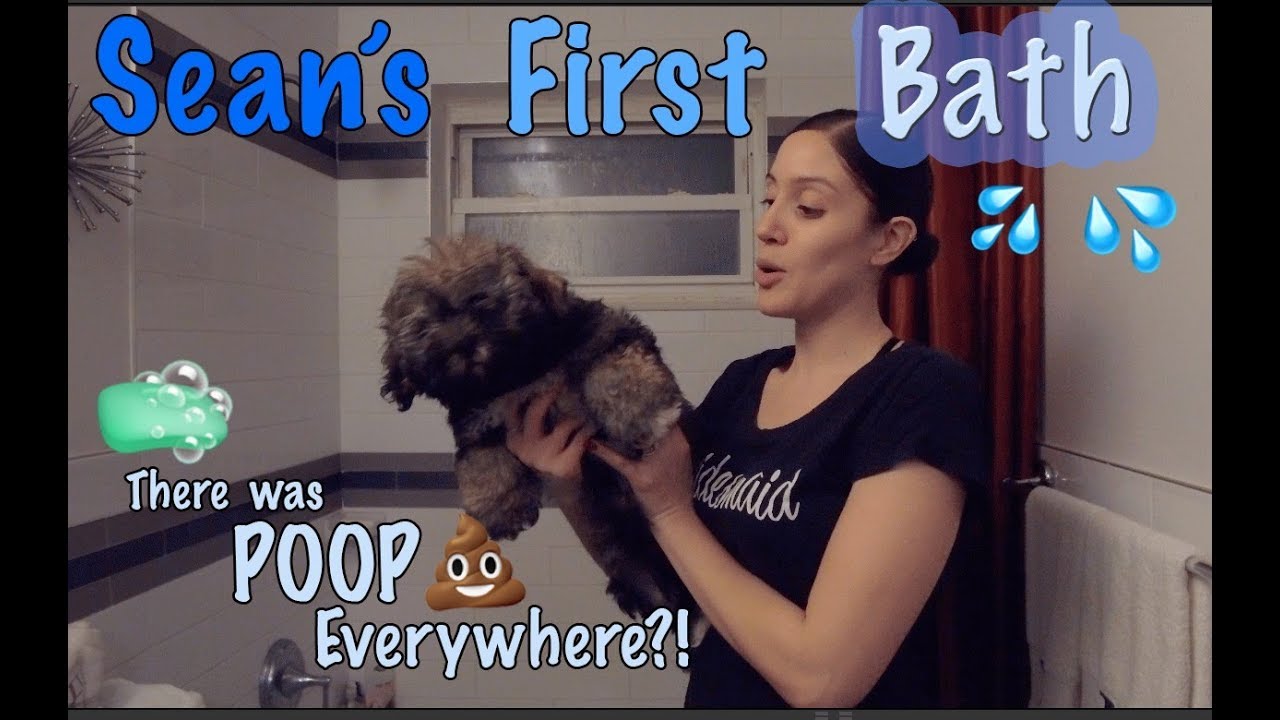 Sean's First Bath! There was poop everywhere! - YouTube