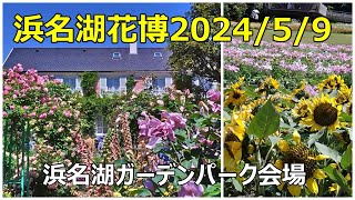 浜名湖花博2024/5/9　浜名湖ガーデンパーク会場　「花美の庭」バラ　ひまわり　コスモス