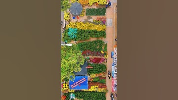 Chợ Tết Tân Châu Sáng 27.12.2024 ÂL Chạp Tết 🧧 mừng Xuân Ất Tỵ 2025 #angiang #tanchauangiangtv