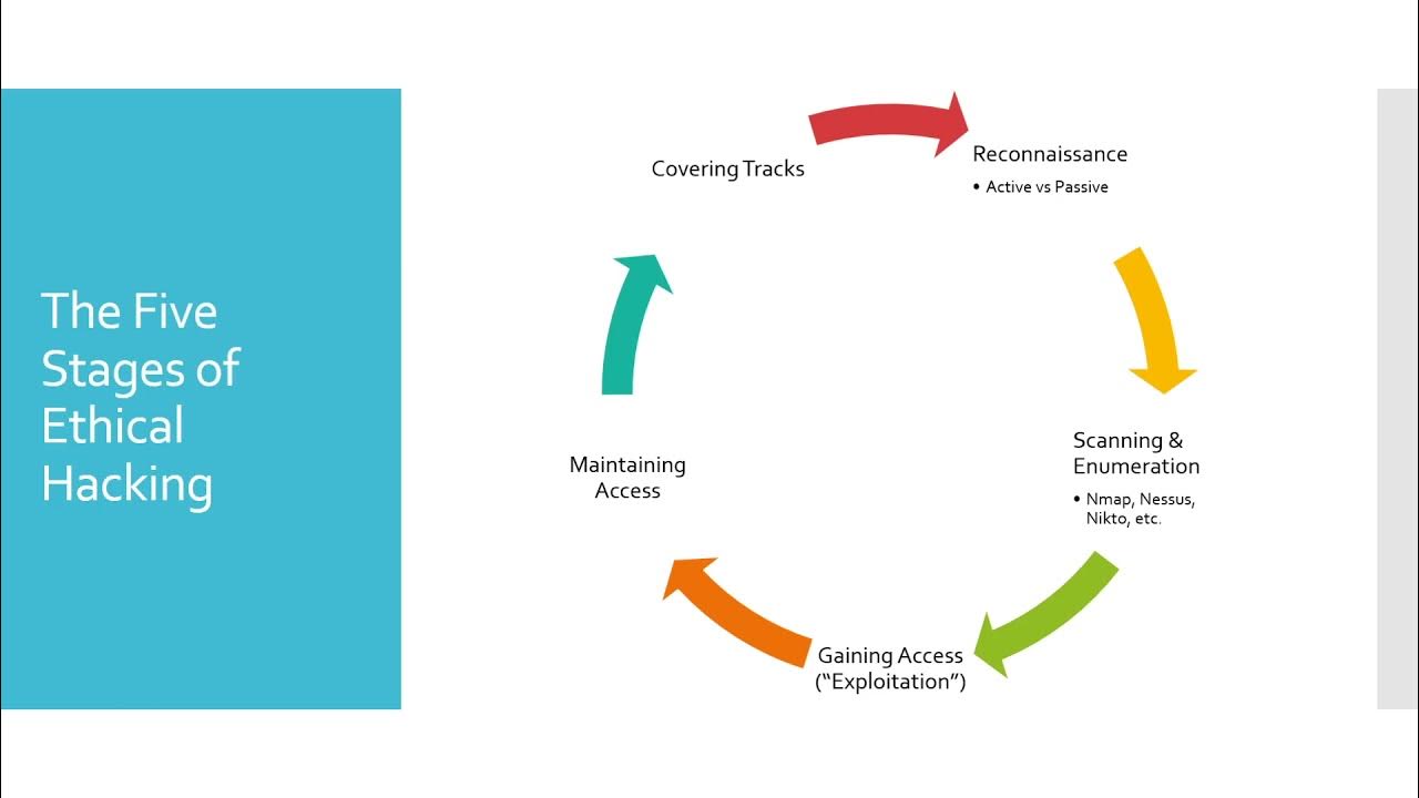 1 The Ethical Hacker Methodology The Five Stages of Ethical Hacking YouTube