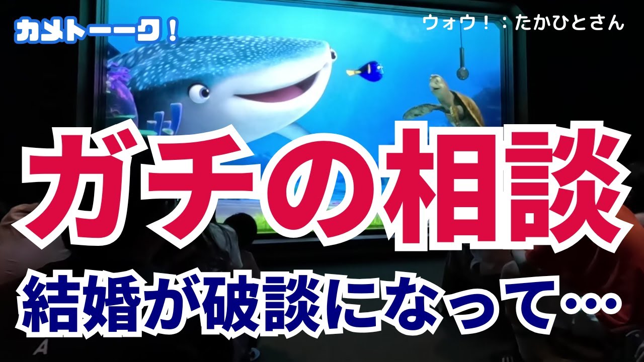 ガチな相談が悲惨すぎて会場に悲鳴！結婚するために引越してきたのに破談に～地元に戻るか、このままここでもう少し頑張るか…【東京ディズニーシー・タートルトーク】