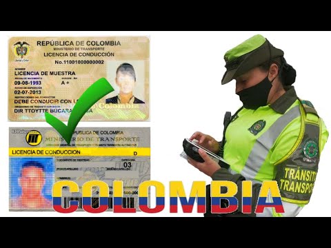 Video: Qué Transporte No Requiere Licencia