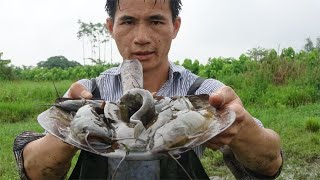 洪水过后在废弃的小水塘抽水抓鱼捉到好多塘角鱼【壮乡小莫】