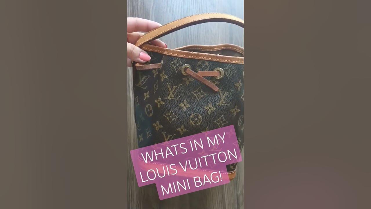 what's in my Louis Vuitton MINI NOE BAG! #WIMB #LVBAG #LVMINIBAG  #ADORABLEBAG #handbags 