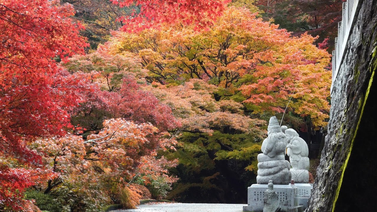 [茨城県大子町】　永源寺（もみじ寺）みごとな紅葉