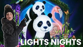 Ik Was Bij Ouwehands Light Nights Dit Was Zo Mooi