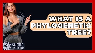 What Is A Phylogenetic Tree? - Science Through Time