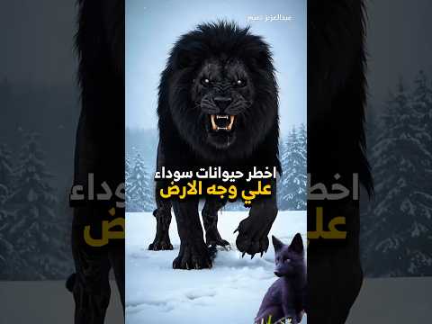 أخطر حيوانات لونها أسود على كوكبنا