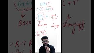 Chargaff rule & Ratios #biology #genetics #neet #reneet #molecularbiology #zoology #zoologyshorts