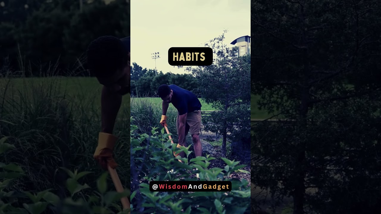 Small Habits, Big Impact