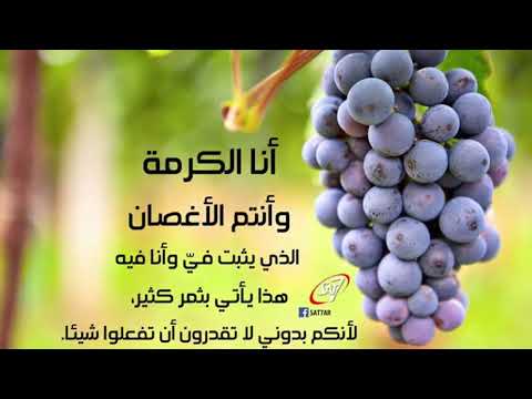 ترنيمة ربي جسدك 