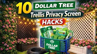 10 Dollar Tree Trellis Hacks To Build a Stunning Backyard Privacy Fence