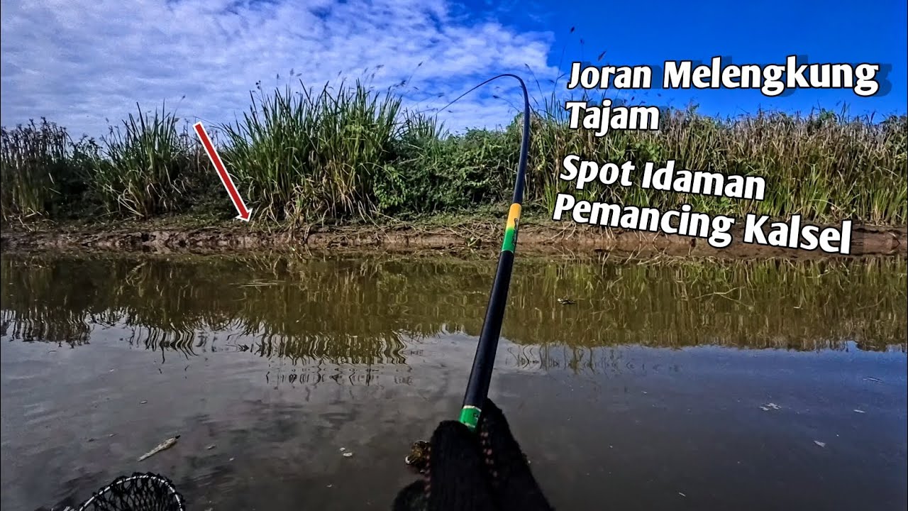 Mancing Ikan Nila Kalimantan Selatan