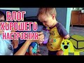 День в деревне. Влог.