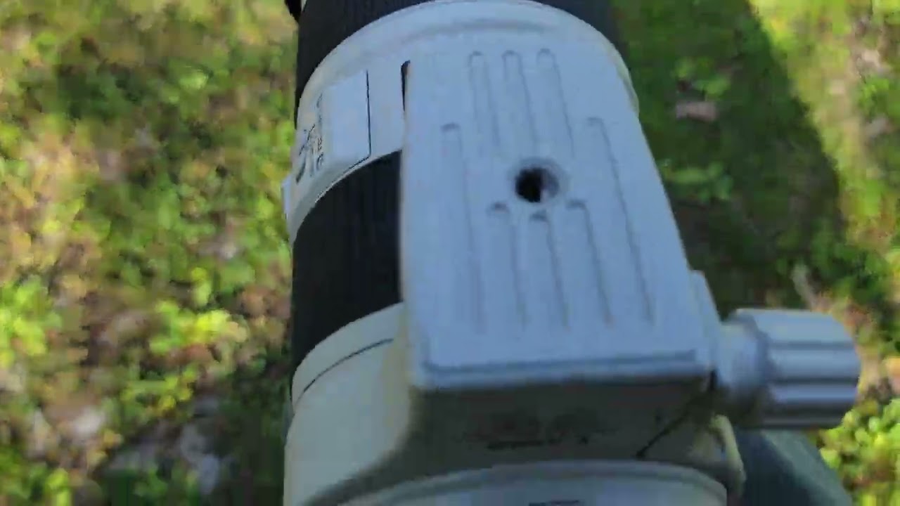 Canon R6, disparo contínuo com EF e adaptador x RF.