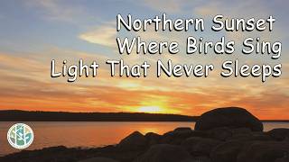 Northern White Night Sunset — Birds and Shore Water Sounds