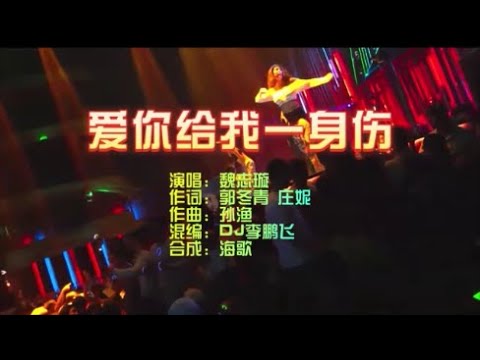 魏志璇 《爱你给我一身伤》DJ李鹏飞 KTV 导唱字幕 （备有伴奏视频）