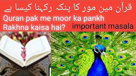 Quran me moor ka pankh Rakhna kaisa hai? quran ke upor kuch rakh sakte hai ya nahi