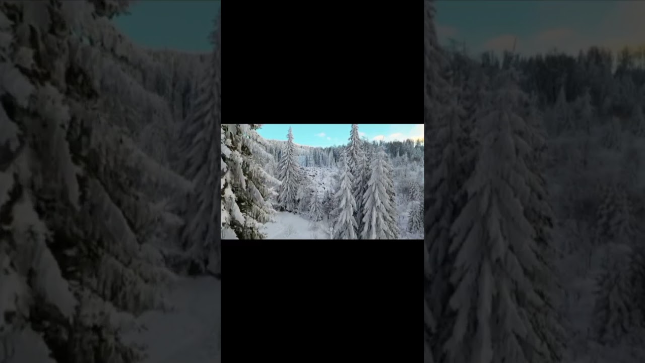 Amazing Snow falls Tree 🌴🌴/Shorts/ #nature sounds # Relaxing Minds. auf YouTube ansehen Amazing Snow falls Tree 🌴🌴/Shorts/ #nature sounds # Relaxing Minds. auf YouTube ansehen