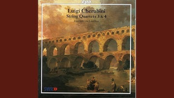 String Quartet No. 3 in D Minor: IV. Finale. Allegro risoluto