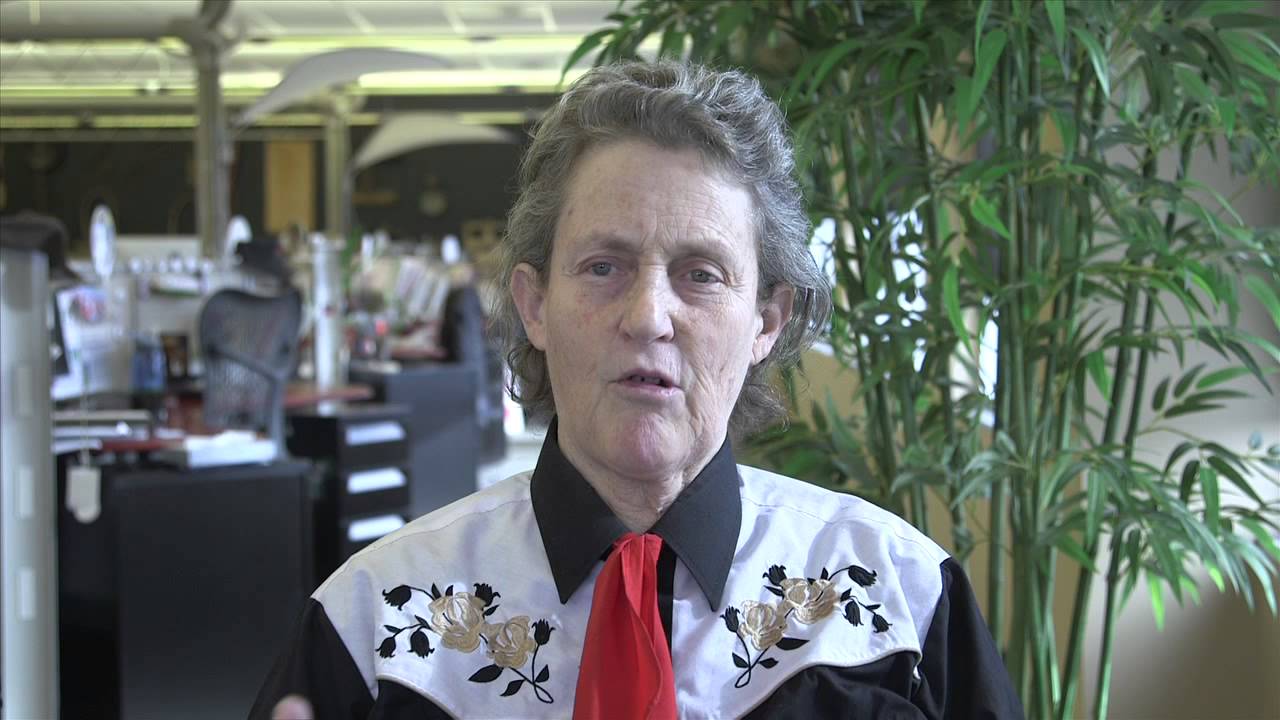 beef short ribs Temple Grandin intv