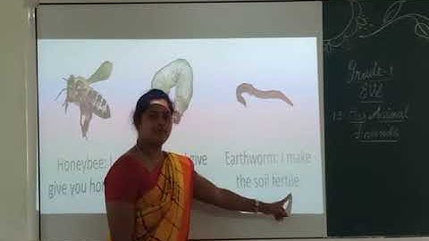 Grade 1 Evs Lesson 13 worksheet