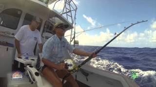 iona gamefishing 1000 pound black marlin female angler Alicia Pasfield cairns 2014