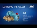 Servicing Valves - 2SF Series Pumps