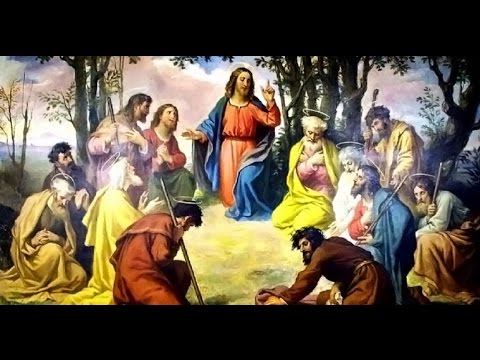 Sermão do 8º Domingo do Tempo Comum | Ano A | Padre Rodrigo Maria