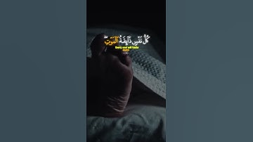 كُلُّ نَفْسٍۢ ذَآئِقَةُ ٱلْمَوْتِ ۖ ثُمَّ إِلَيْنَا تُرْجَعُونَ || القارئ شريف مصطفي #quran #قرآن