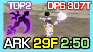 Top2 Black Mara Ark 29F 250 Dps 307 Trillion Ark Contest S1 Dragon Nest China