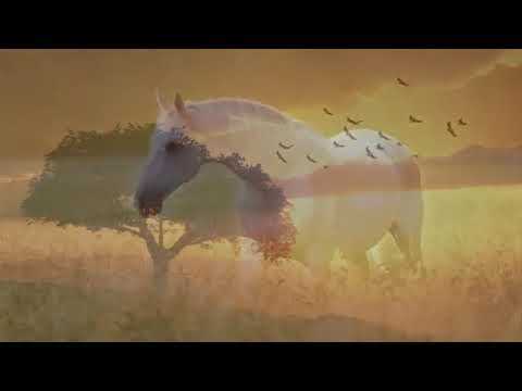 Musik yang indah untuk Santai, Untuk Kerja, musik pengantar tidur. Sumber:  Soothing Relaxation