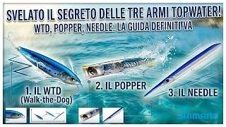 WTD, POPPER, NEEDLE: TUTTO QUELLO CHE DEVI SAPERE! - Fishing videos @SaverioDeAngelis87