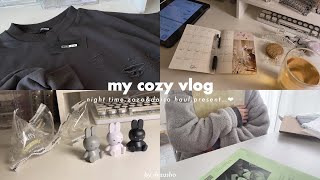 〘vlog〙オタク社会人、連休前の夜🌛⋆⁺ zozo & daiso購入品┆素敵なプレゼントが届いた🎁ʾʾ