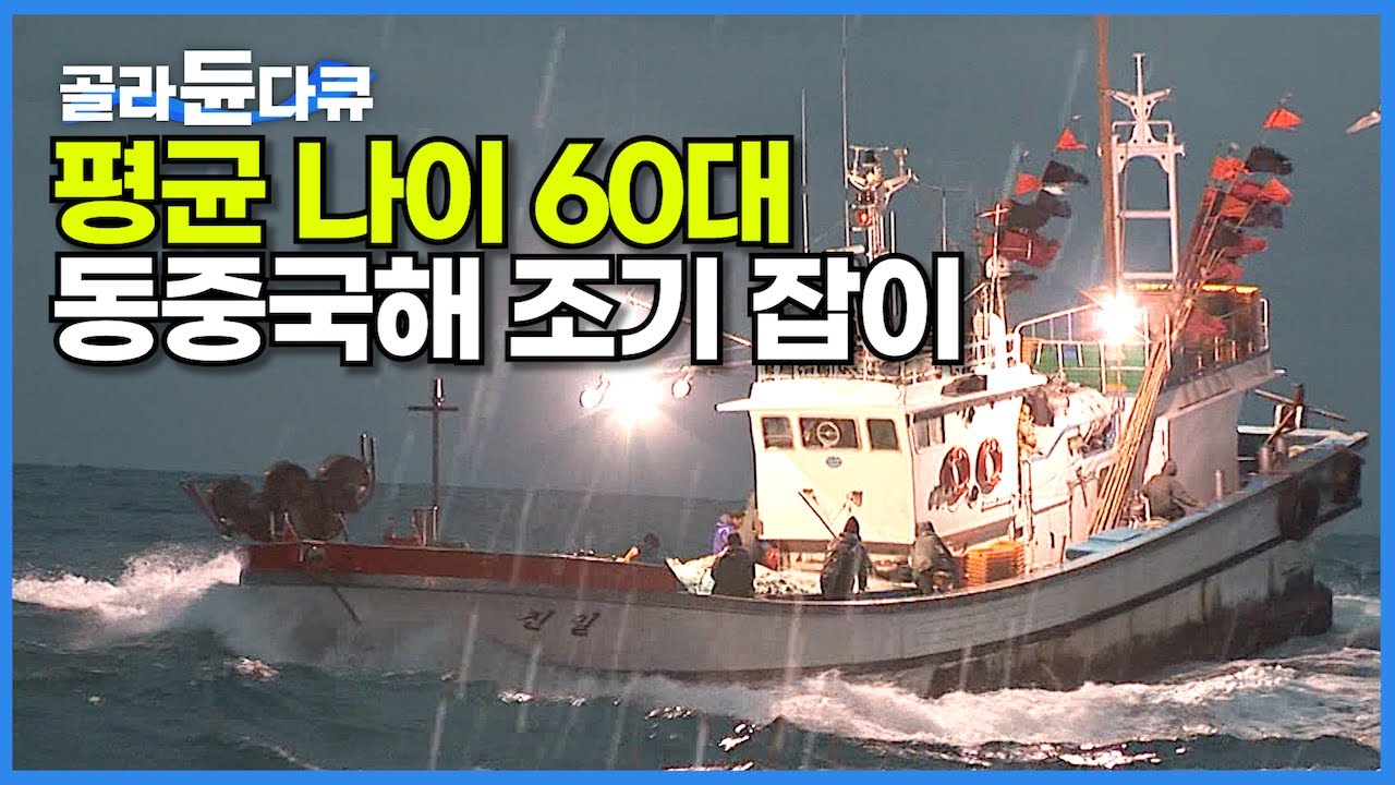 황금 조기 만선의 꿈을 싣고 떠난 망망대해 대양호에는 과연 무슨 일이 생겼을까?┃위기의 바다! 영화보다 생생한 날 것 그대로 일주일 간의 기록┃만선 조기 잡이┃극한직업┃