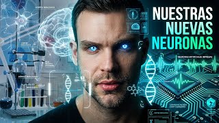 Las neuronas artificiales que revolucionan la neurociencia