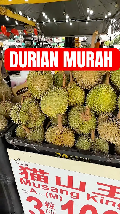 DURIAN MURAH SS2 #durian #shorts